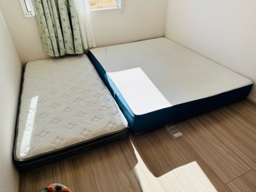 定価10万　コアラマットレスクイーン