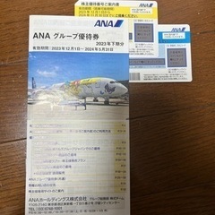 ANA 株主優待＆優待券