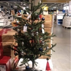 クリスマスツリの画像