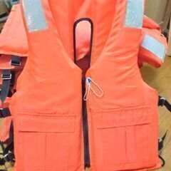確実に丘からよりも釣れる　RYOBI ボートエース　エンジン好調の画像