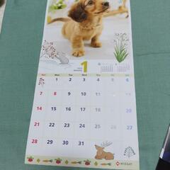カレンダー2024 　5冊セットの画像