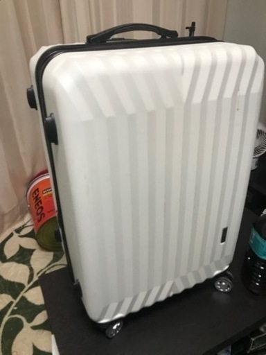旅行用かな。大きめのバックと言うか入れ物