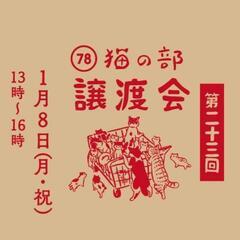 新年最初のトワネコ保護猫譲渡会です🐱