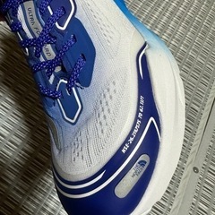 THE NORTH FACE スニーカー　新品の画像