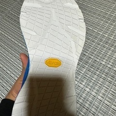 THE NORTH FACE スニーカー　新品の画像
