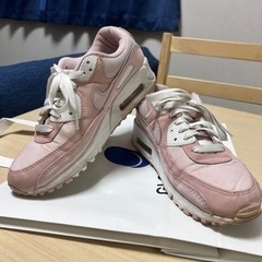 NIKE AIRMAX 25.0cmの画像