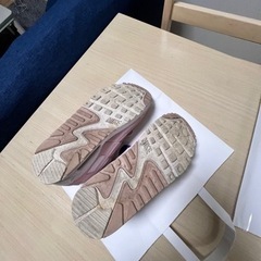 NIKE AIRMAX 25.0cmの画像