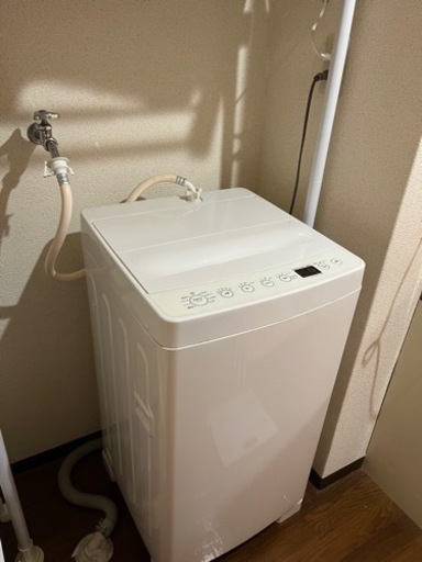 家電 生活家電 洗濯機