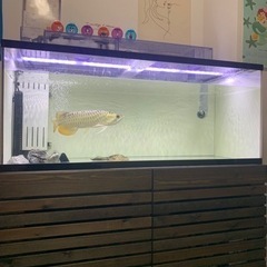 水槽一式セット　最終値下げ！破格です！