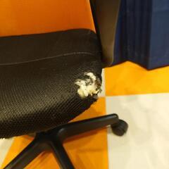 （受付停止）あげます　デスクチェア　取りに来てくれる人のみの画像