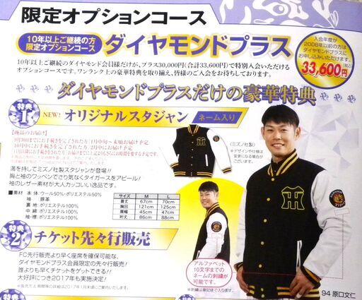 ★ 祝 ! 阪神タイガース 日本一記念 レア品 ○ 非売品 ○ 未開封 ○ 未使用 ★ 阪神タイガース ○ オリジナルスタジャン★ ミズノ製品 ★