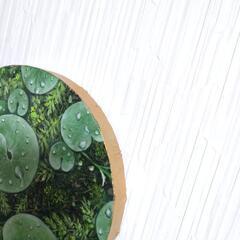 【原画油絵】〜潤い〜◆1点物絵画の画像