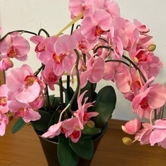 胡蝶蘭光触媒造花