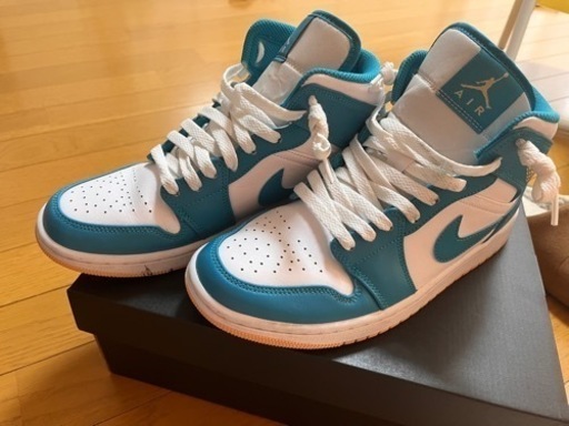 NIKE エアジョーダン1