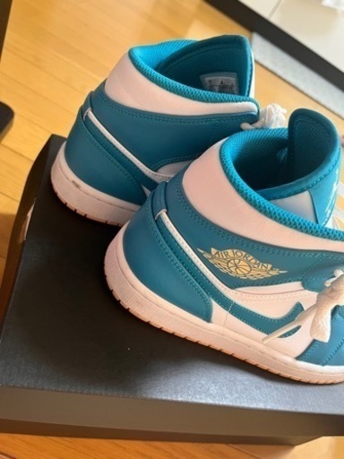 NIKE エアジョーダン1