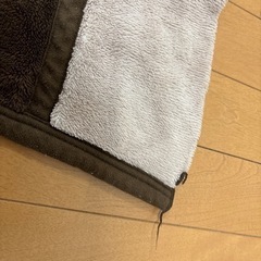 毛布　シングルの画像