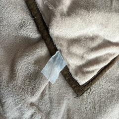 毛布　シングルの画像