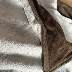 毛布　シングルの画像