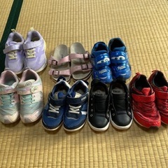 引き渡し者決定しました。限定1名様！引き取りに来れる方　男の子　...