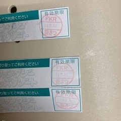 ファンタジーキッズリゾート回数券3枚　使用期限12/31までの画像