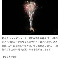 ハワイでカウントダウン　12/30-1/2 オーシャンビューの部屋確保の画像