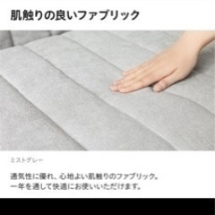 ソファーベッド 引き取り限定の画像
