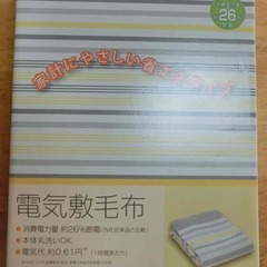 【お取り引き中】電気敷毛布