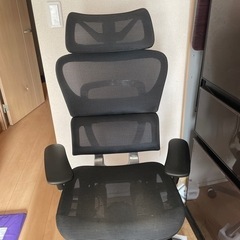 cofo chair premium