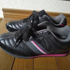 スニーカー　２５センチ　レディースの画像