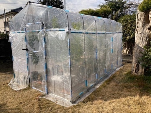 ビニールハウス　コメリ豊作ベジハウス