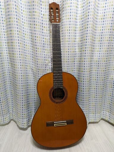 ギター(ハードケース付き)