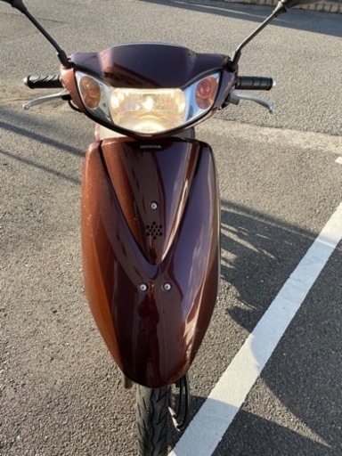 原付　ホンダDiO(茶色)