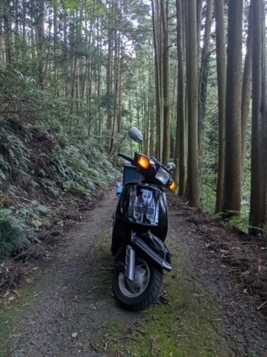 売約済み　ヤマハ　シグナス125 実働　値下げはできまさん