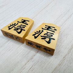 竹風作 本黄揚 錦旗書 盛上将棋駒の画像