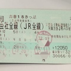 【秋田駅前手渡し】青春18きっぷ　1回分