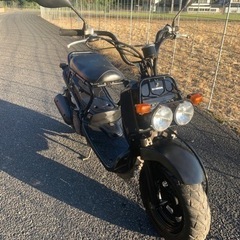 ホンダ　ズーマーの画像