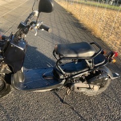 ホンダ　ズーマーの画像