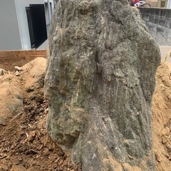 庭石もらってください〜