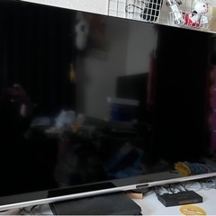 テレビ