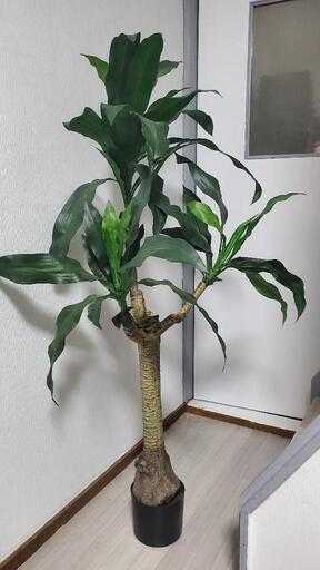 【16.17日限定値下げ】フェイク観葉植物