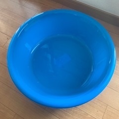 【決まりました】たらい　ダイソーの画像