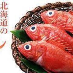 【本日27日　19時から】きんき鍋を一緒に食べませんか？【現在８...