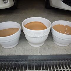 （取引中）★胡蝶蘭鉢　３鉢セット　綺麗な鉢　植木鉢　陶器鉢　ほぼ新品★
