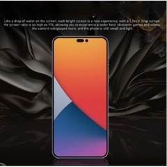 I14pro Max128GBデュアル SIM(青)説明を最後までお読み下さいの画像