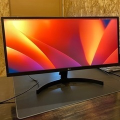 LG Ultrawide monitor 29インチ(29WL500-B) モニター