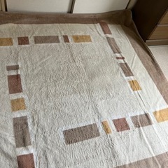【お譲り先決定】サンヨー ホットカーペット 2畳