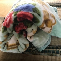手触りスベスベ　アクリル毛布の画像
