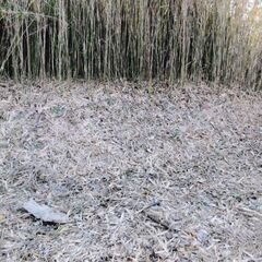 【京都府亀岡市】北摂ローズタウンの1区画をお譲りします。S-23-00017_1 - 土地販売/土地売買
