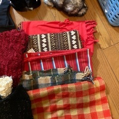 （受け渡し決定）女性物　小物の画像