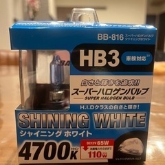 車(ライフ)ライト